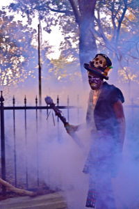 bayou-of-blood-3-hhn-24