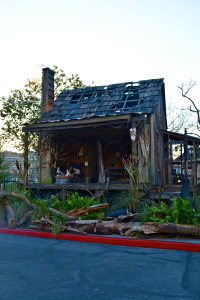 bayou-of-blood-hhn-24